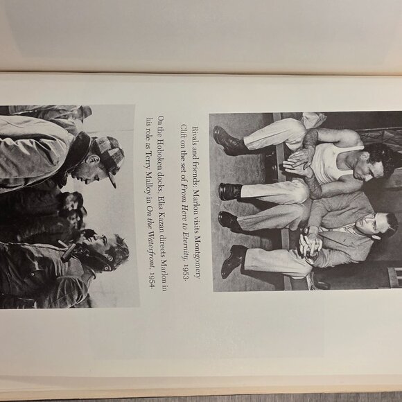 Somebody: The Reckless Life and Remarkable Career of Marlon Brando by Stefan Kan - Picture 11 of 16